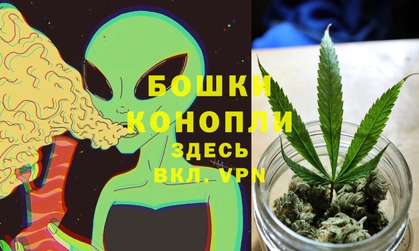 крисы Баксан