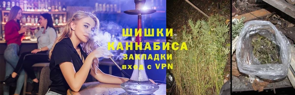 крисы Баксан