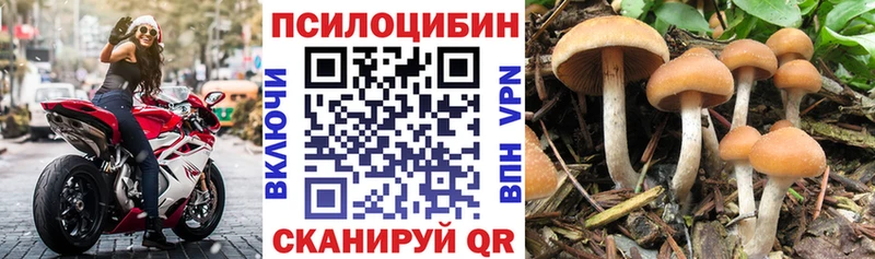 цены наркотик  Шахты  Галлюциногенные грибы GOLDEN TEACHER 