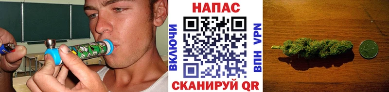 Канабис планчик  Шахты 